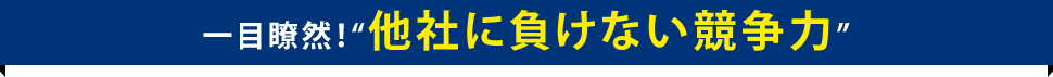 一目瞭然！”他者に負けない競争力”